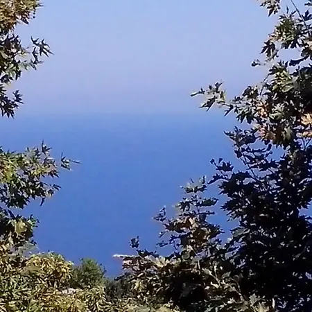 Panos