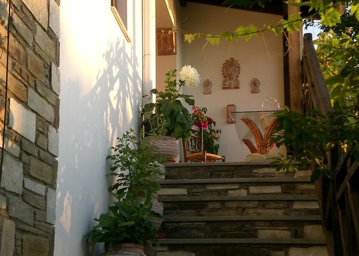 Πανσιόν Panos Áyios Dhimítrios