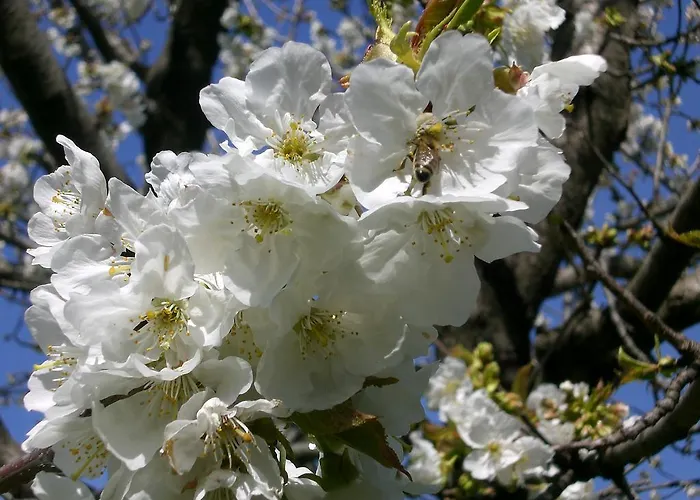 Πανσιόν Panos 3*